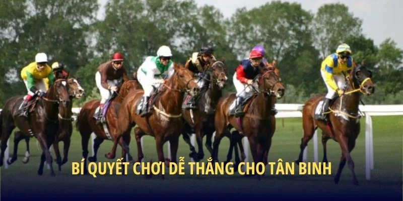 Bí quyết chơi dễ thắng cho tân binh