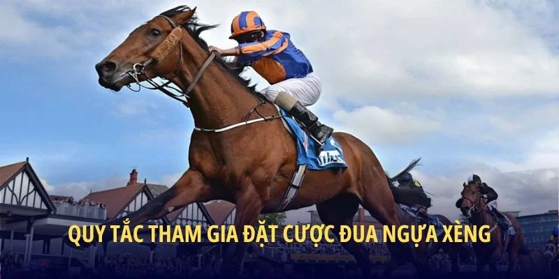 Quy tắc tham gia đặt cược đua ngựa xèng